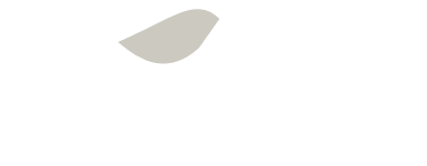 Vector-10